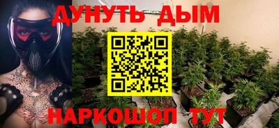 индика Будённовск