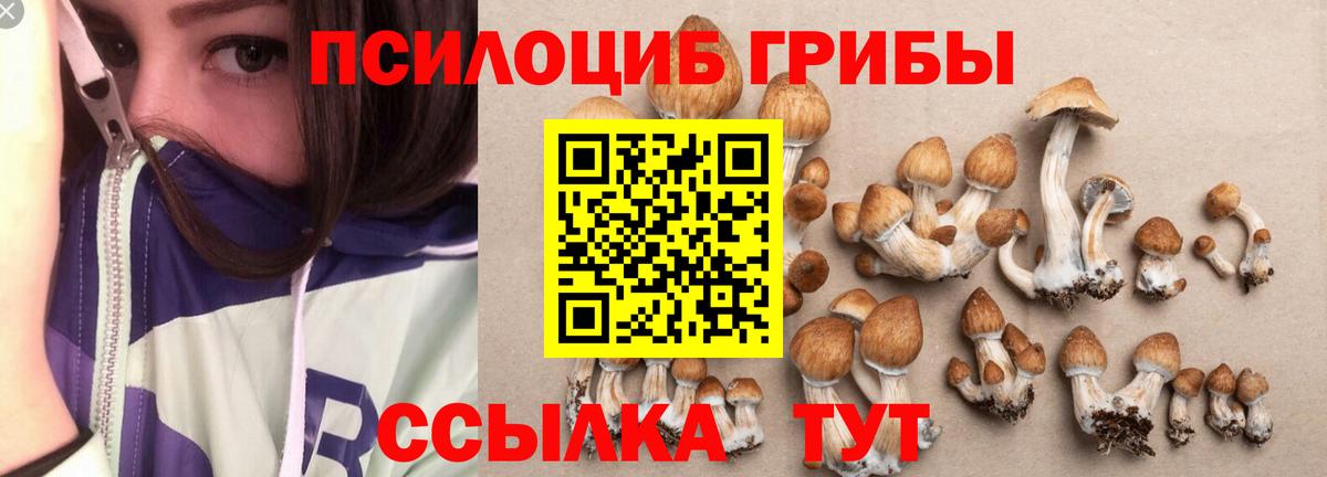 Галлюциногенные грибы Magic Shrooms  Вход с VPN  Биробиджан 